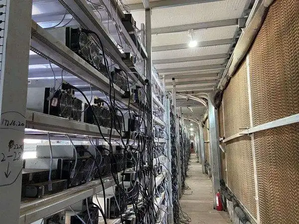 A close-up of a Kaspa-optimized miner in action, showcasing its efficient hardware design amid Canada's tech boom