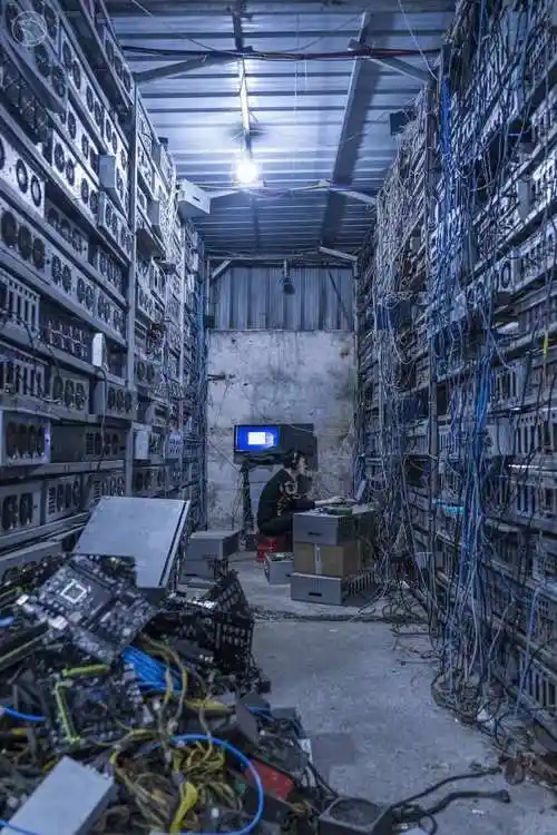 Expansive mining farm utilizing advanced liquid cooling solutions to optimize Bitcoin and Ethereum mining