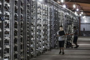 A large-scale mining farm with rows of mining rigs, showcasing the industrial scale of cryptocurrency mining.